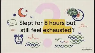 Why 8 Hours of Sleep Still Isn&rsquo;t Enough (Science Explains)