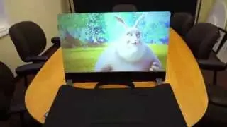 PORTABLE REAR PROJECTION SCREEN