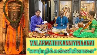 Valarmathi Kanniyinaanai - வளர்மதிக் கண்ணியினானை