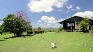 540 Tablelands Road Cooran 4569 QLD