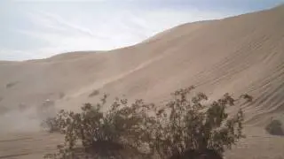 Larry Minor Sand Jeeps take over Patton Valley