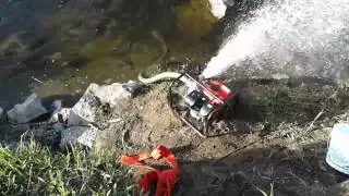 Gold dredge pump break in on pilchuck river w/ SIR 509
