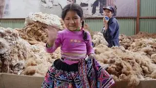 Alpaca wool from Peru by Inkari - 2016
