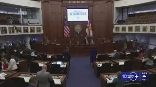 Florida lawmakers discuss bills on education, agriculture, guns, health and more