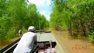 SWAMP TOUR (SOUTH LOUISIANA) 2022