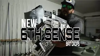 NEW 6th Sense Fishing BAITS - The judge, Party Minnow, Pressure Crankbait, Panorama & Waterland👓