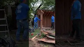 Shed Demolition