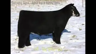 Executive Sires - 2013 Top 5 Spring Sires
