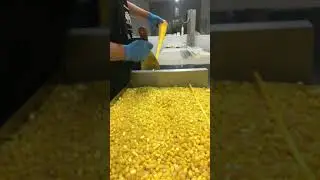 Cutting a candy  feel the sound      #shorts #crazysatisfying😎😍