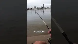 🎣 Mastering Soft Plastic Lure Fishing 🎣 Flathead fishing gold coast