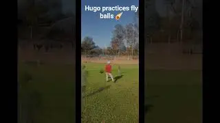 #14HugoBarboza practices a lot how to read fly balls and bring them back to infield.