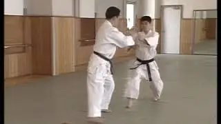 Yoshinkan Aikido - Shomen Tsuki Hiji Ate Kokyu Nage Ni