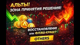 Альты в зоне принятия решения! Восстановление или Флэш-краш? Подробный разбор графика OTHERS!