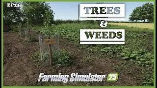 Trees and Weeds | FS25 | Ep23 | We Bought a Farm