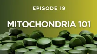 Mitochondria 101: Can This Superfood Supercharge Your Stem Cells?
