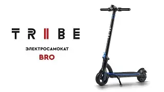 Обзор электросамоката TRIBE Bro