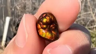 5.75ct Mexican Fire Agate Stone &mdash; Metallic Orange & Green | OpalPop