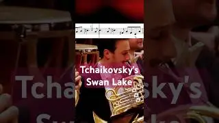 Tchaikovsky's Swan Lake, No. 10: Sc&egrave;ne, Horn Solo