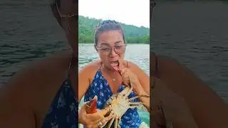 This Crab Got Its REVENGE!