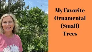 My Favorite Ornamental (Small) Trees