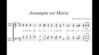 Oliveira, Manoel Dias de (ca.1735 - 1813) Assumpta est Maria.