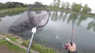 [Laghi Arcobaleno] canna in mano e pesce dentro... la busta!
