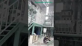 40T/D Fully Automatic Rice Mill Plants  #ricemillsupplier #autoricemill #ricemill