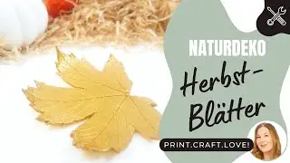 DIY Deko Herbstschale 