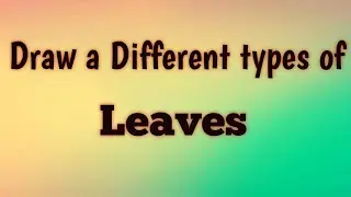 #Shorts How To Draw Leaves | different types of leaves Drawing | Leaves drawing easy | Tasmia Arts