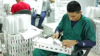 Efficient Reptile Farm Shipment Process: Ensuring Quality Exportation