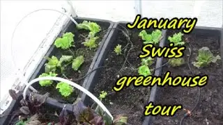 January Swiss greenhouse tour.  09 01 20