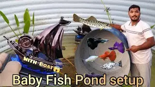 |Baby Fish Pond Setup😱|New Breeding Setup With Solar Boat