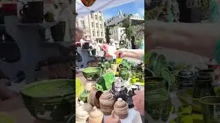 Латвия готовится к Лиго-дню летнего солнцестояния