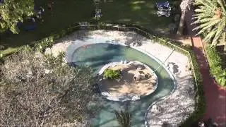 Panasonic HDC HS60 Zoom Test