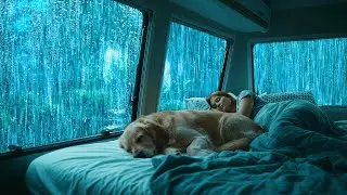 Rain on Car Roof ⛈️ Soft Thunder Nature Sounds for Deep Sleep and Ultimate Stress Relief | ASMR