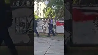 Berlin police spray paint over Palestine flag graffiti