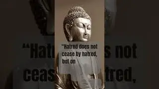 Buddha Quote: &ldquo;Hatred does not ....&rdquo; #buddha #buddhism #buddhaquotes