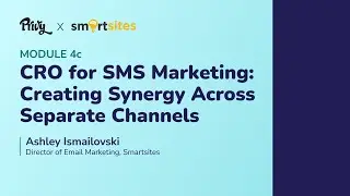 Module 4c/5: CRO for SMS Marketing &ndash;&nbsp;Creating Synergy Across Separate Channels