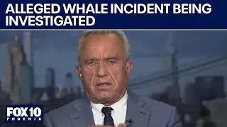 RFK Jr. says feds are investigating alleged whale incident