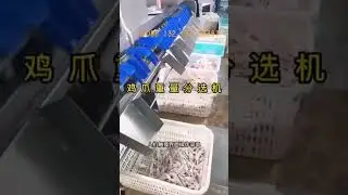 Grapefruit Weight Grading machine Coconut weight grader Chicken claw weighing sorting machine