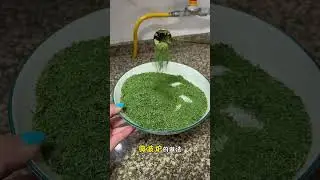 Great ways to save money on dog ownership 4 drying methods homemade dog parsley