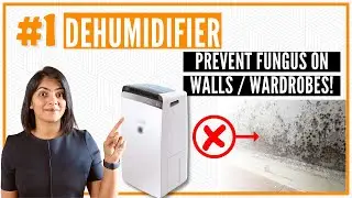 Best Dehumidifiers in India 2023 | Fungus or mould on walls, cupboards, clothes, clothes not drying