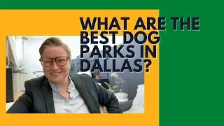 Best Dog Parks in Dallas with Lacey Brutschy