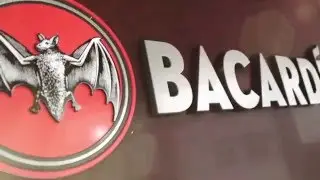 BACARDI Miami Sailing Week and BACARDI CUP 2016 - Day 1 - Highlights