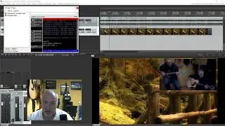 17 - Les effets sur les pistes vid&eacute;os dans Reaper : FX video processor