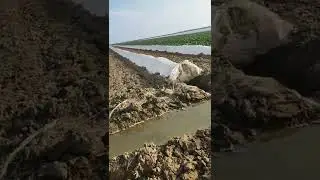 кауын су 02.04.2022г