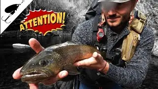 GROSSES TRUITES FARIO !! 💥🎣 P&Ecirc;CHE DE FRANCE 🇫🇷🎣