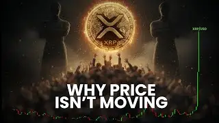 XRP Repricing is Inevitable | When Their Quiet Buying Stops Working