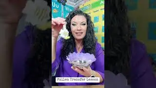 Pollen Transfer Lesson | Funnydaffer
