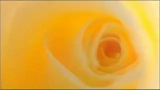 Antonio Vivaldi: Concerto for violin, strings & b.c. in B flat major (RV 377)